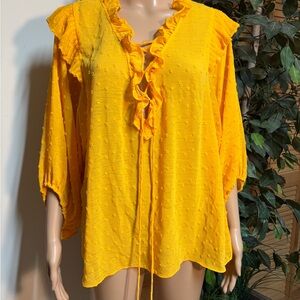 Anthropologie Haida Swiss Dot Blouse